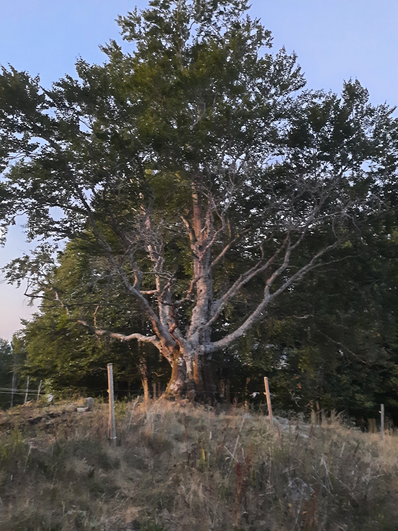 20220813210537 20220813 210537